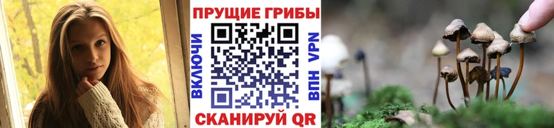 Псилоцибиновые грибы MAGIC MUSHROOMS  Весьегонск 